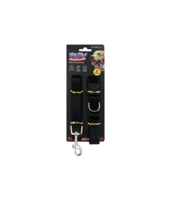 Lead & Collar Set Assorted