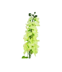 Light Green Delphinium Flower 80cm