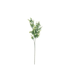 Light Green Eucalyptus Stem 67cm