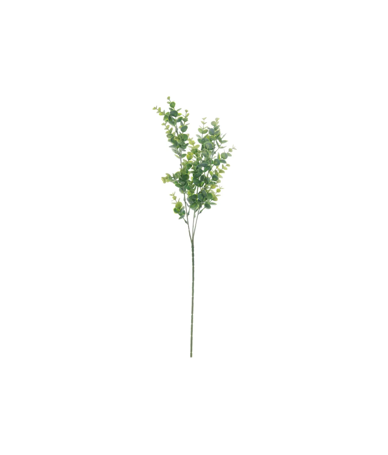 Light Green Eucalyptus Stem 67cm