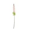 Light Pink Delphinium Stems 31 Flowers 105cm