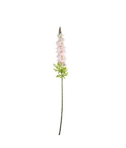 Light Pink Delphinium Stems 31 Flowers 105cm