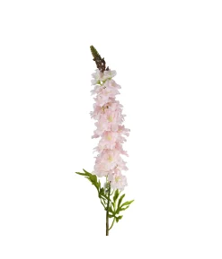 Light Pink Delphinium Stems 31 Flowers 105cm