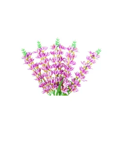 Light Purple Orchid Flower Stem 67cm