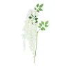 Lime White Bean Flower Cane 129cm