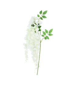 Lime White Bean Flower Cane 129cm