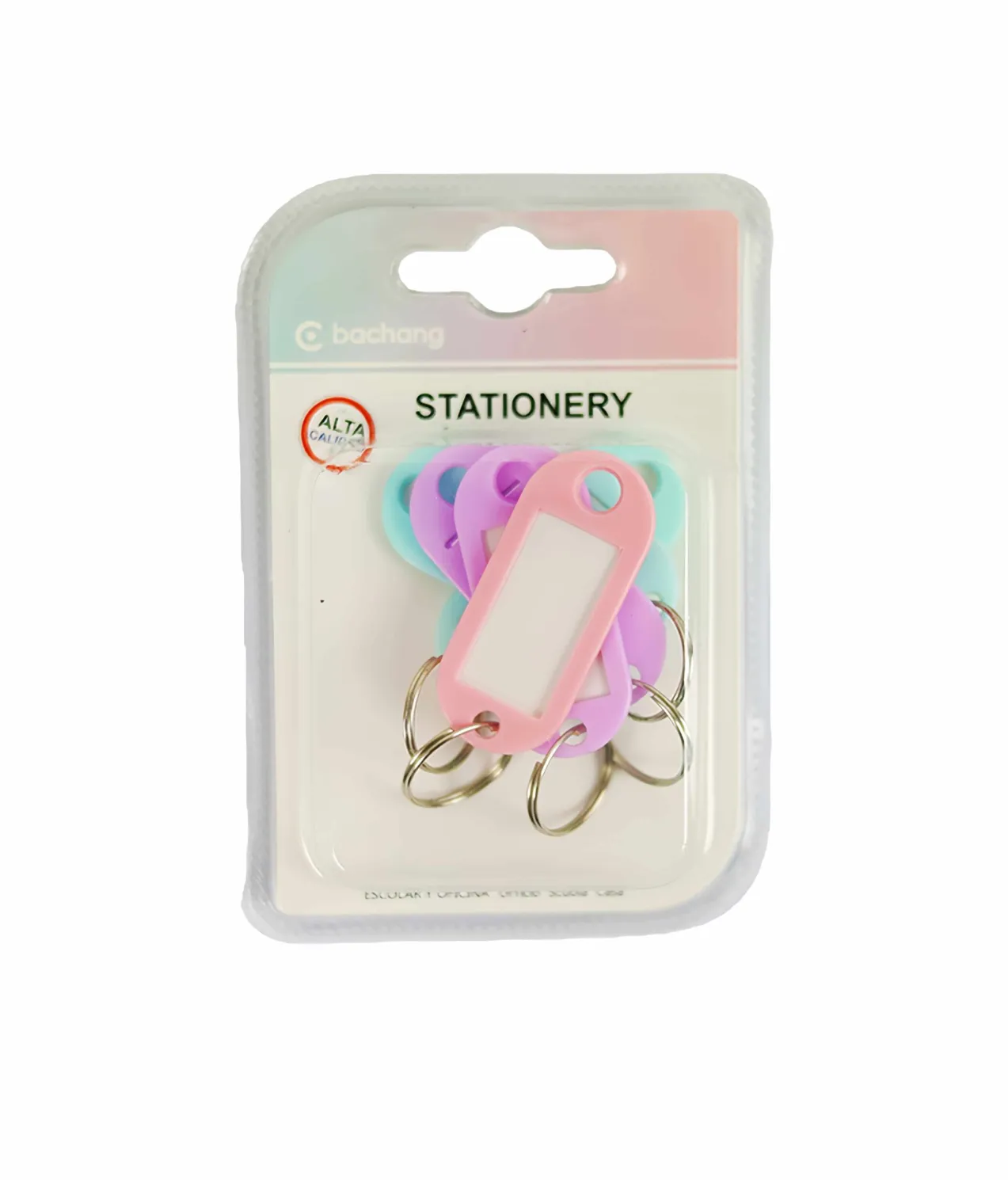 Macaron Color Label Keychains 5pc