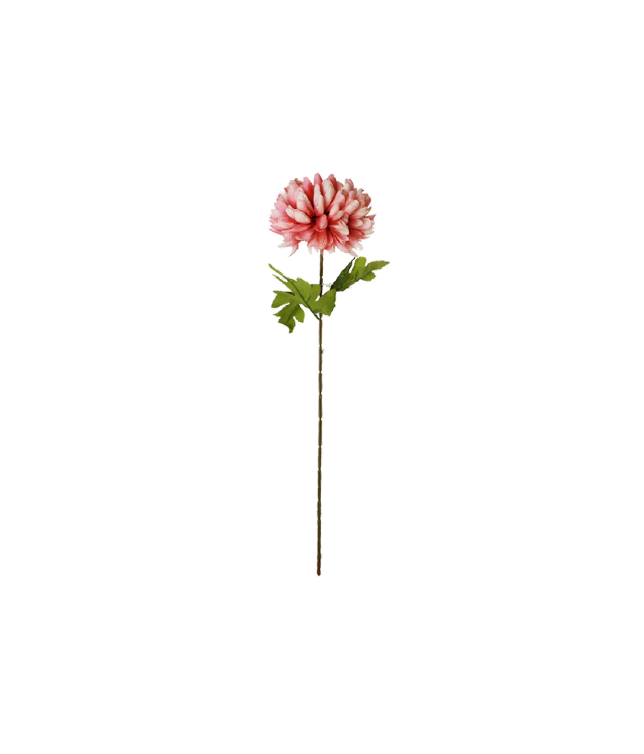 Mixed Chrysanthemum Pongee 70cm