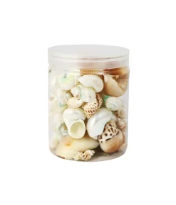 Mixed Natural Sea Shells 250g