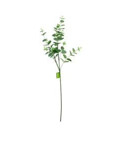 Money Leaf Stem 93cm