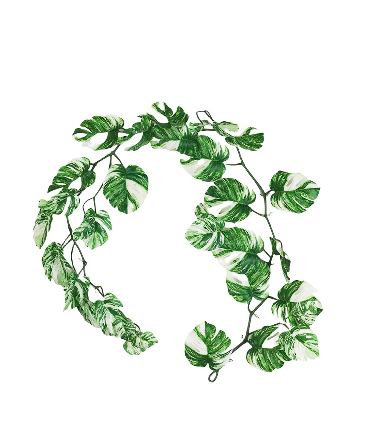 Monstera Vine 180cm Assorted