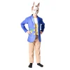 Mr Rabbit Child