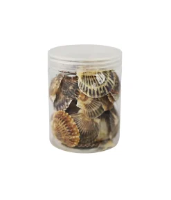 Natural Sea Shells 200g