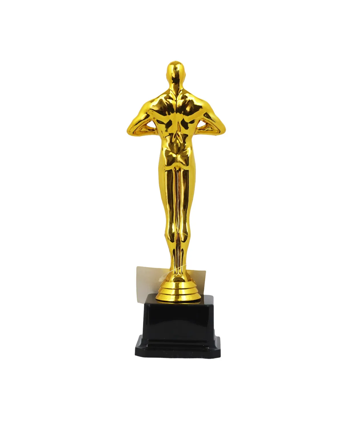 Novelty Trophy 25cm