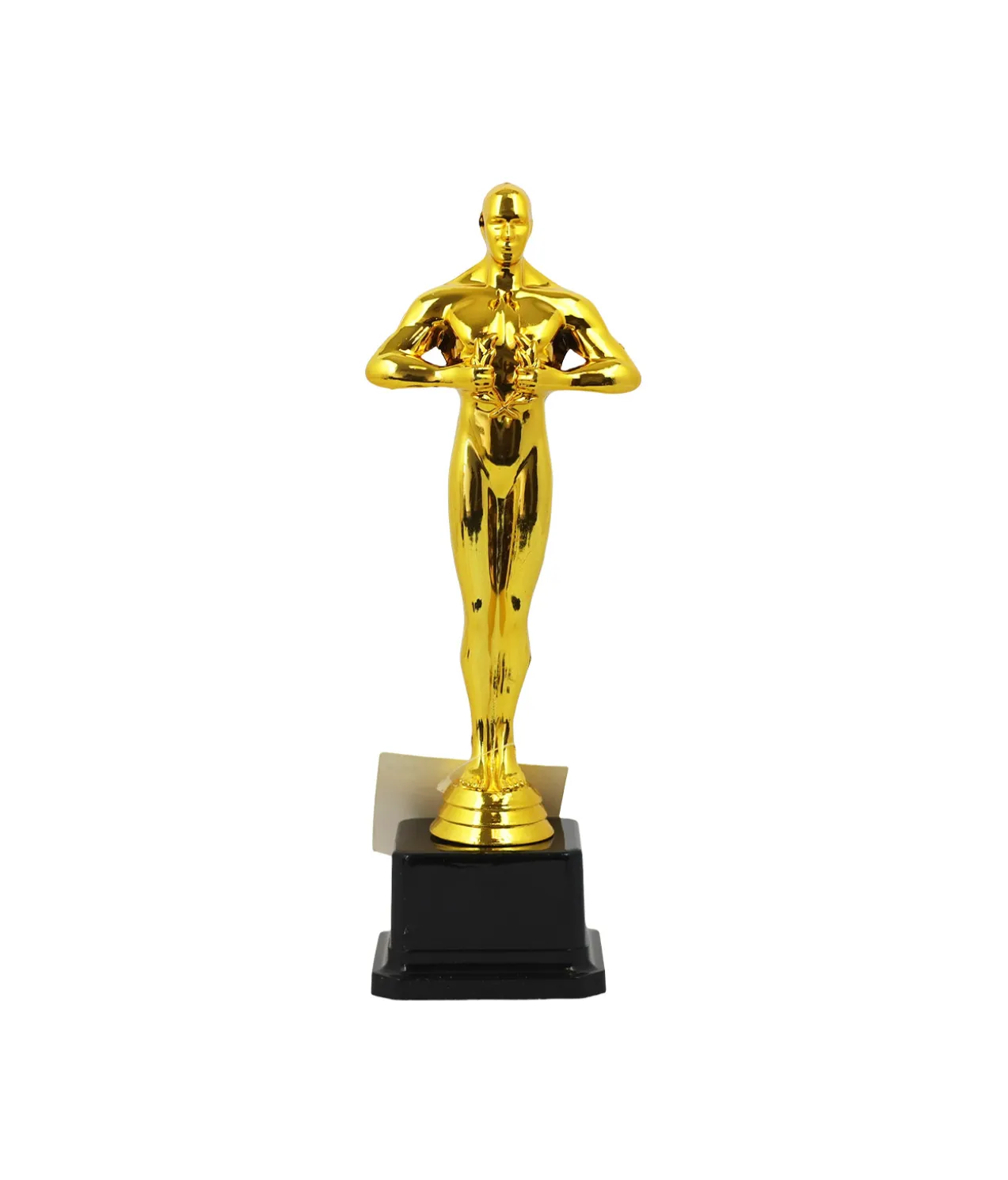 Novelty Trophy 25cm