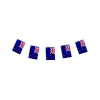 Nz Flag Bunting 5m 20pc