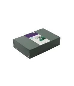 Oasis Floral Foam Blocks 3pc 20x10x7cm