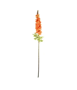 Orange Delphinium Flower Stem 105cm