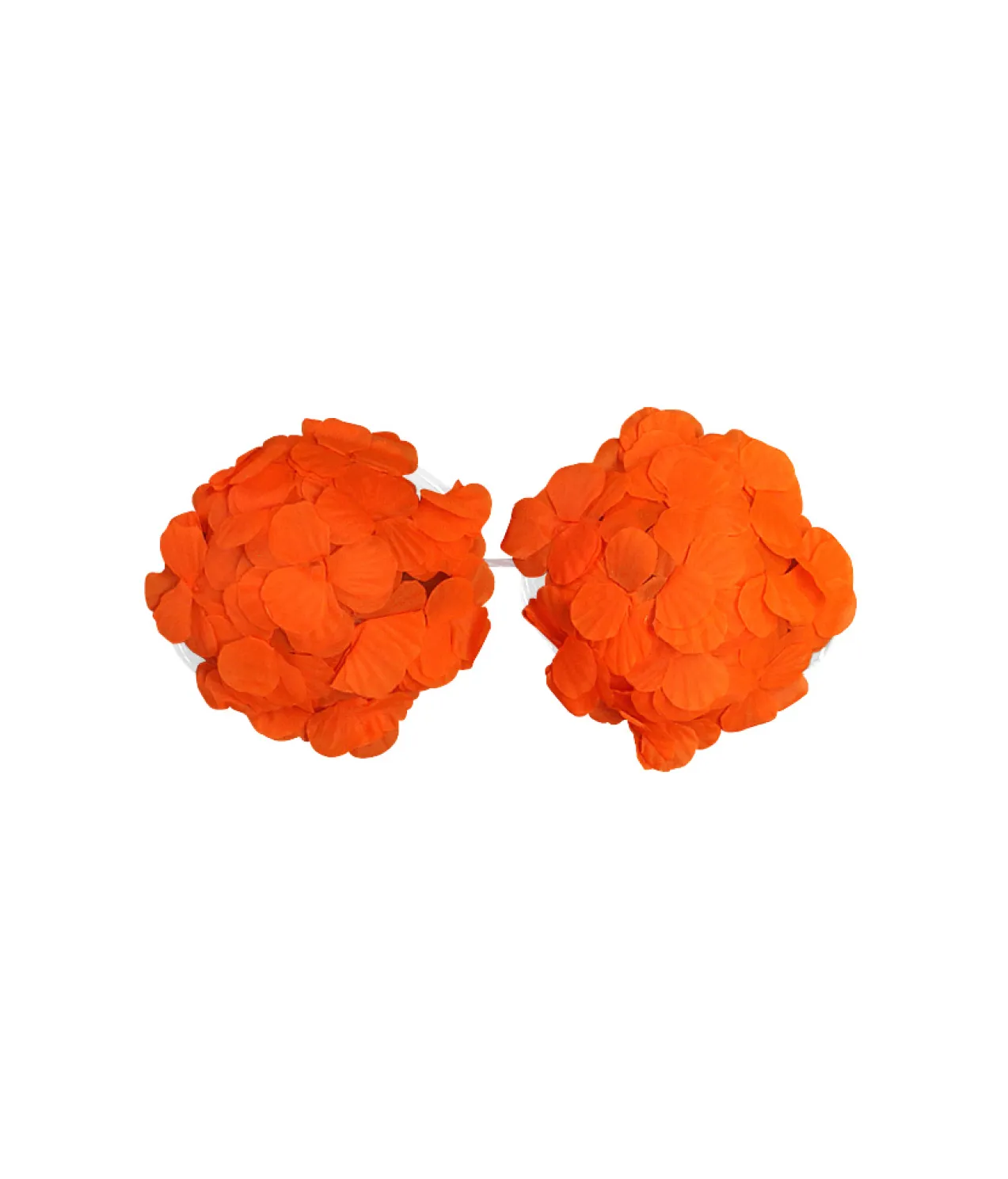 Orange Flower Bra