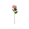 Peach Chrysanthemum Pongee 70cm