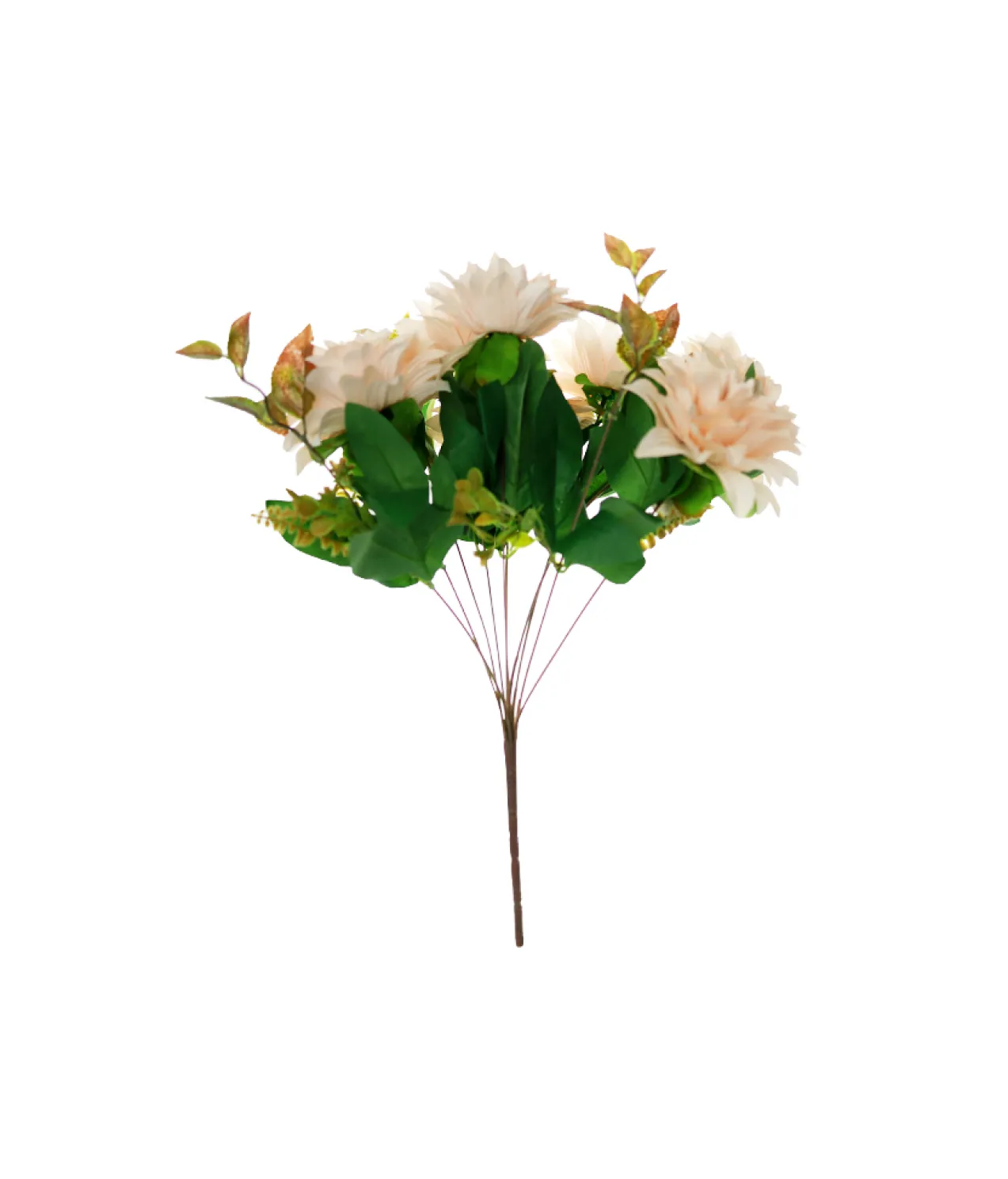 Peach Dahlia Bush 48cm