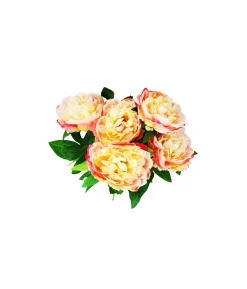 Peach Peony 5 Head 48cm