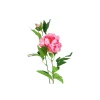 Pink Green Tea Peony 74cm