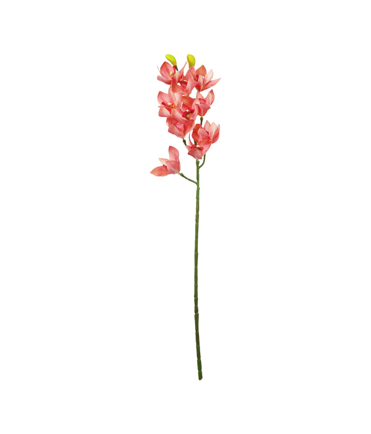 Pink Orchid With Pink Stamen 71cm