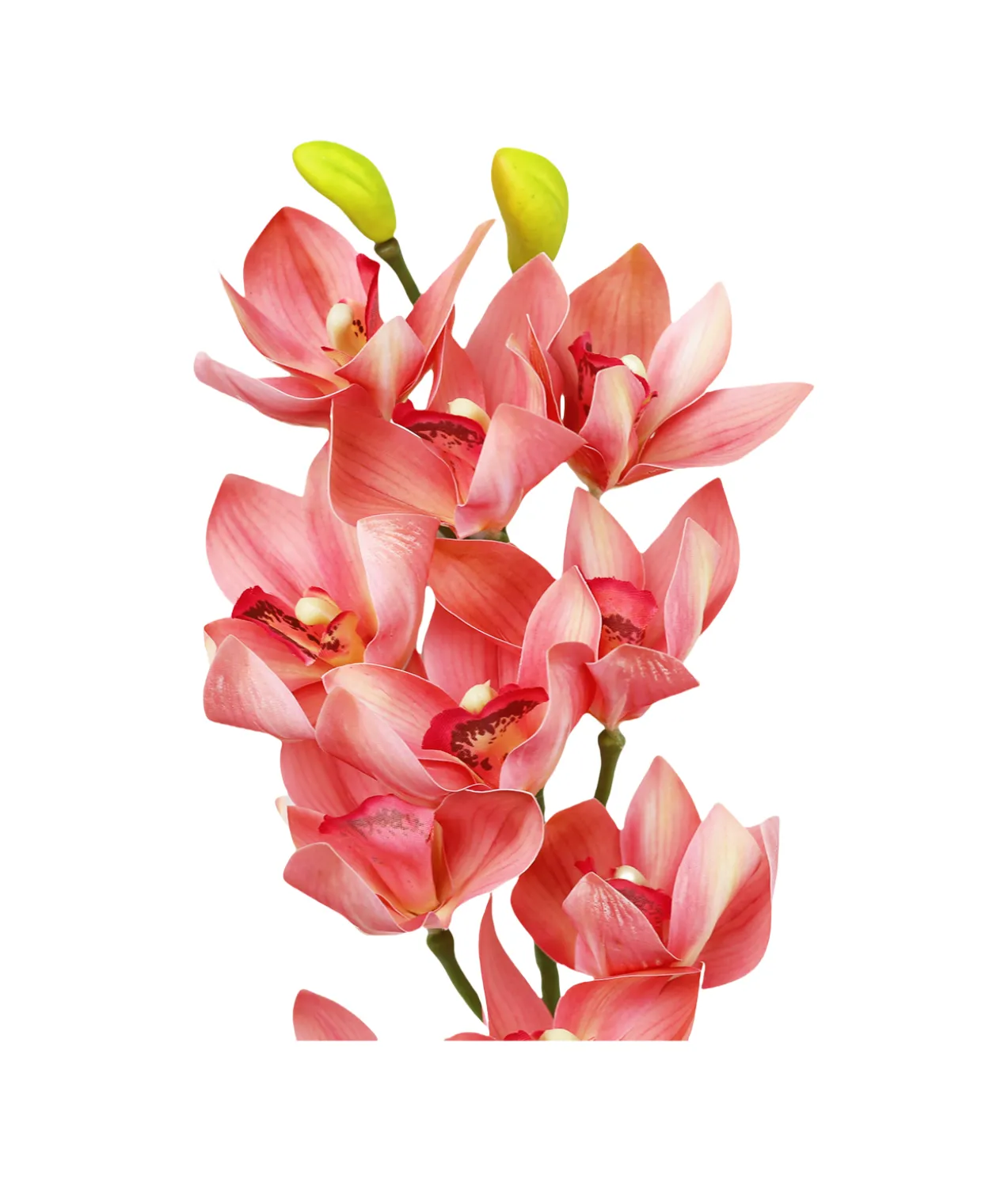 Pink Orchid With Pink Stamen 71cm