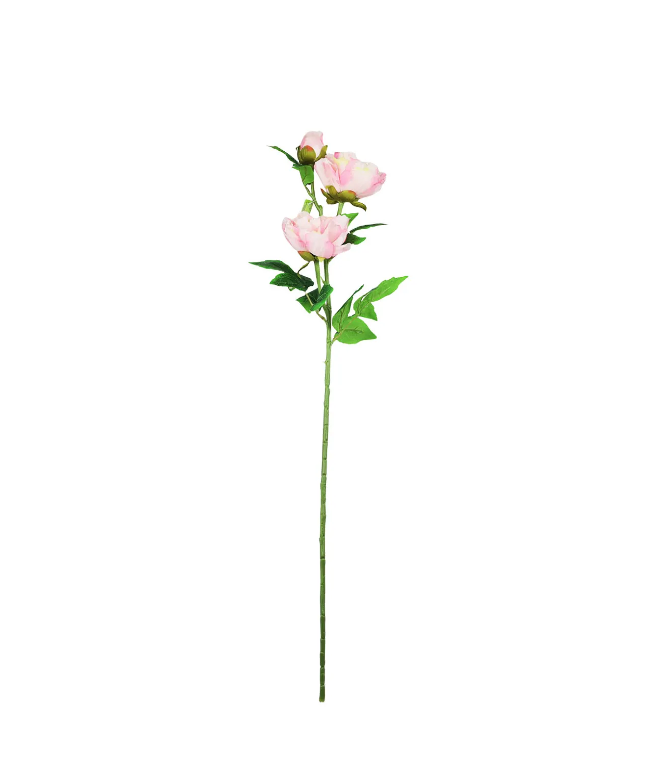 Pink Peony Bush Stem 82cm