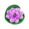 Purple Floating Water Lily 18cm