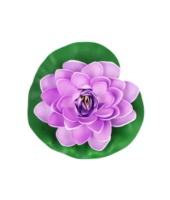 Purple Floating Water Lily 18cm