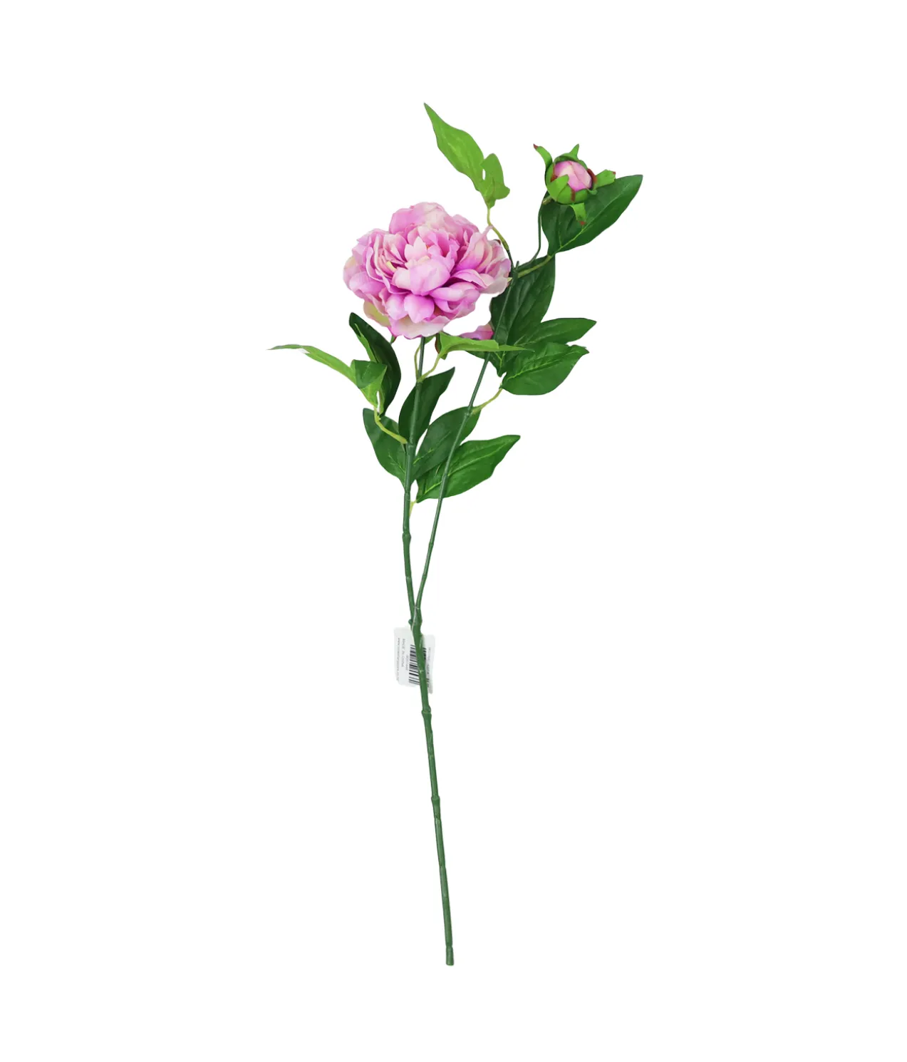 Purple Green Tea Peony 74cm