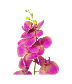 Purple Orchid With Purple Stamen 88cm