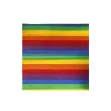 Rainbow Bandana
