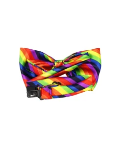 Rainbow Bow Tie