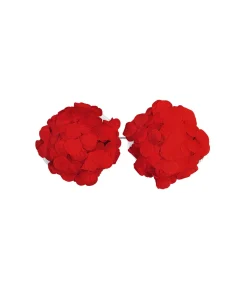 Red Flower Bra