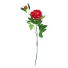 Red Green Tea Peony 74cm