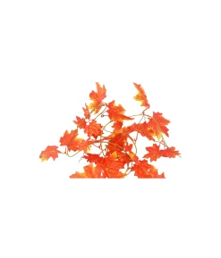 Red Maple Leaf Cane 275cm