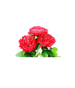 Red Peony 5 Head 48cm