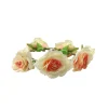 Rose Flower Crown With Leafs White & Pink