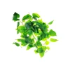 Scindapsus Aureus Garland 200cm
