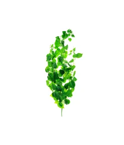 Scindapsus Aureus Rattan Branch 116cm