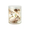 Sea Shell Set
