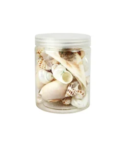Sea Shell Set