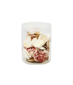 Sea Shell SS135 300g