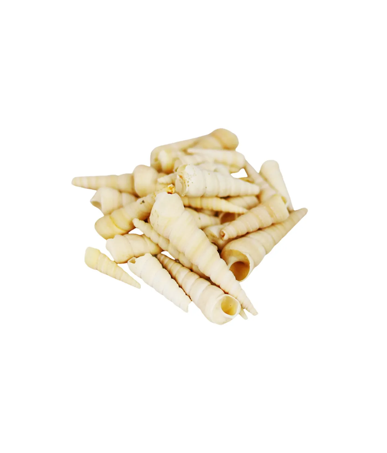 Sea Shell SS121 350g