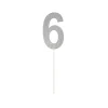 Silver Glitter Cake Topper Number 6