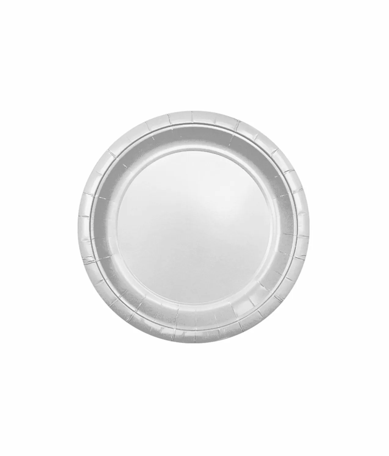 Silver Paper Plates 12x9in