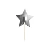 Silver Star Party Picks 24pk